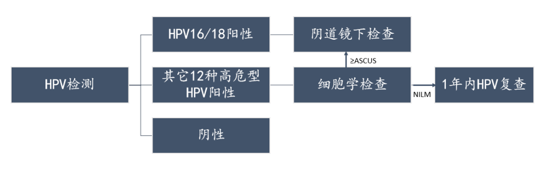 HPV检查流程.png