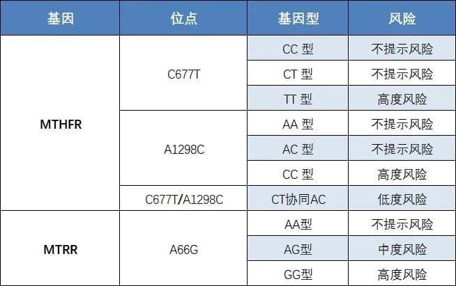 叶酸代谢基因检测报告风险提示表