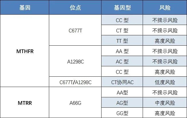 叶酸代谢基因检测报告风险提示表