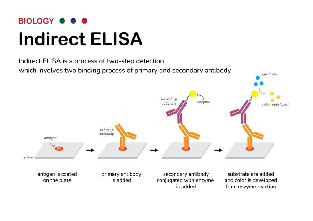 Molecular Biology diagram present type of the enzyme-linked immunosorbent assay or ELISA