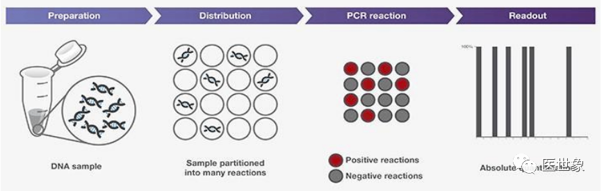 数字 PCR 原理图