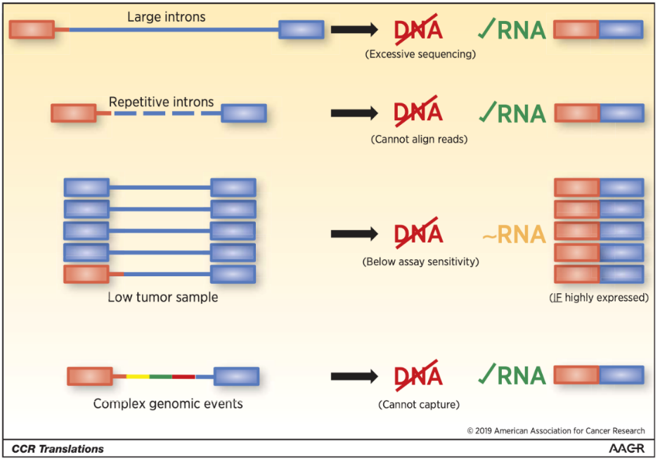 DNA检测对融合变异的检出存在缺陷