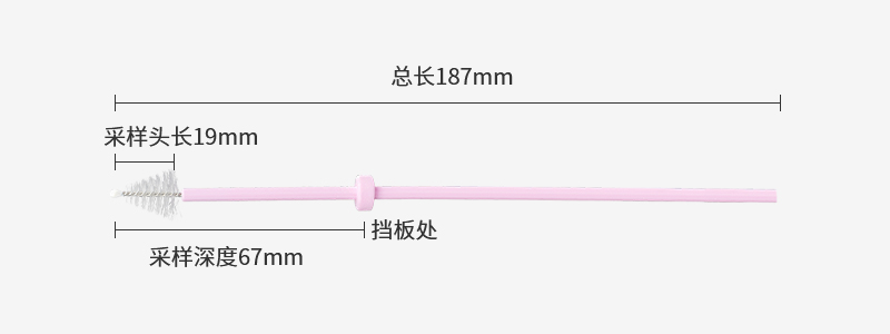 187mm 自取样宫颈刷参数