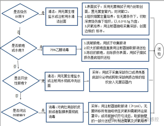 皮肤组织及伤口标本采集与转运标准操作规程.png