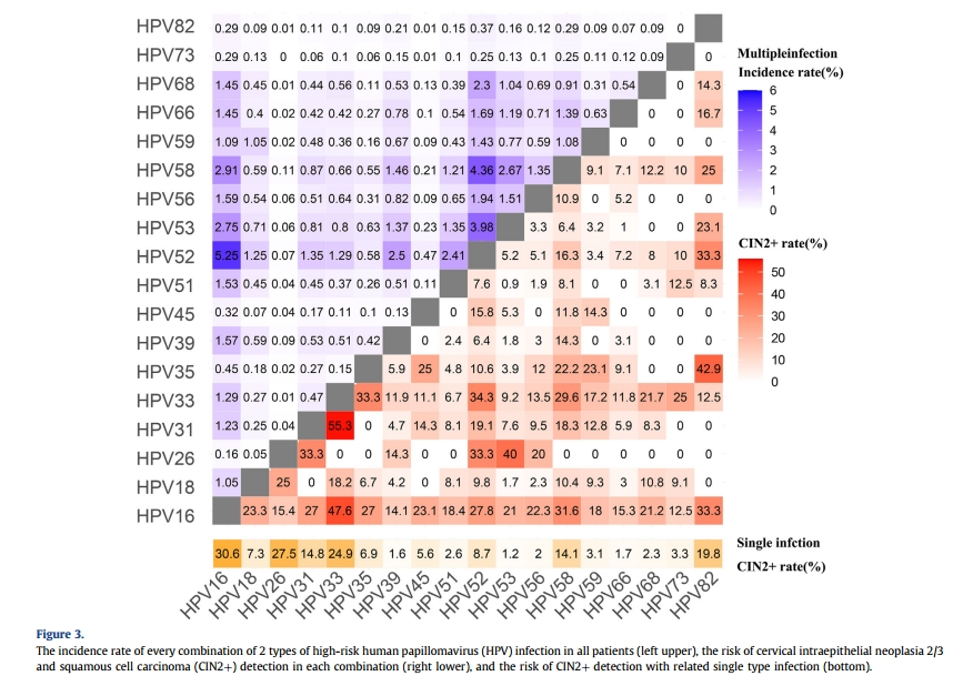 HPV16单独感染者中CIN2+的检测风险为30.6%.png