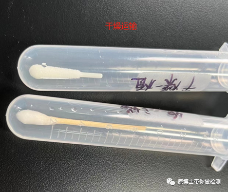 保存液运输条件下：植绒>棉签；干燥运输条件下：棉签＞植绒