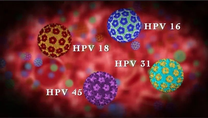 关于HPV采样检测，你要知道这些