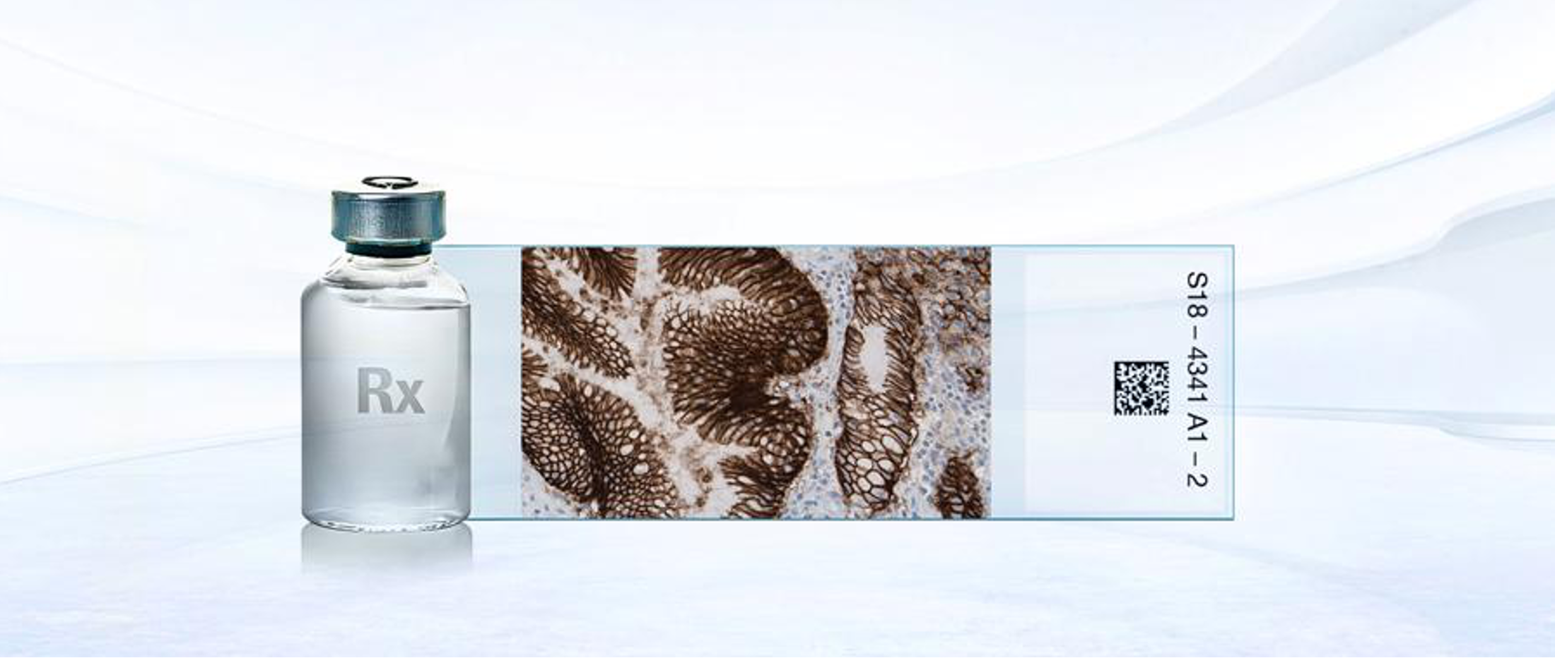 罗氏诊断VENTANA CLDN18.png 罗氏诊断VENTANA CLDN18.png