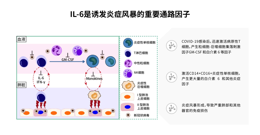 探索IL-6——疫情常态化时代下的实验室质控