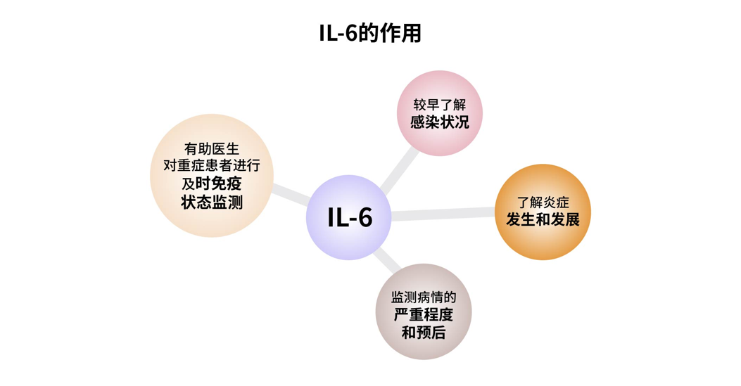 IL-6的作用.png
