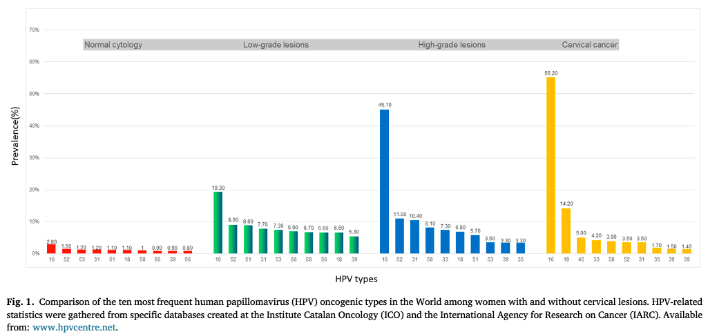 图1：在不同宫颈病变的女性中，全球最常见的十种HPV类型.png