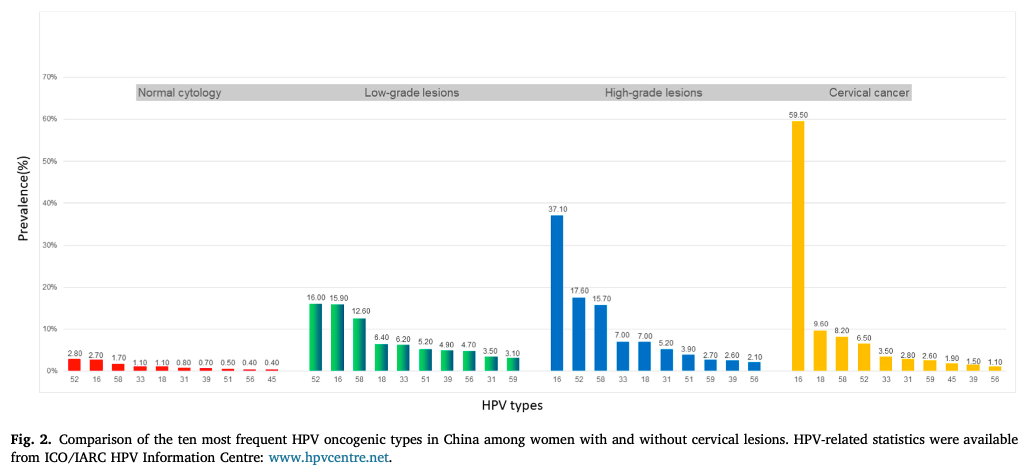 图2：不同宫颈病变女性中，中国最常见的十种HPV类型.png